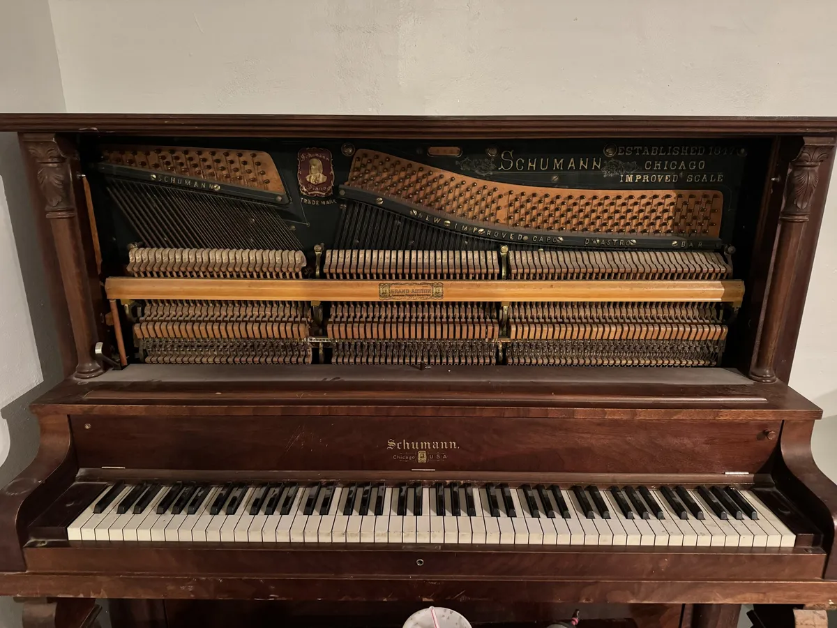 1913 Schumann